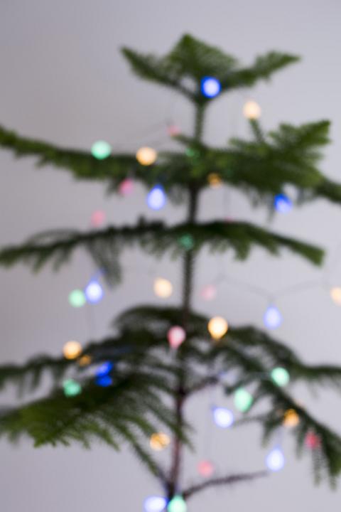 Soft focus natural evergreen pine or spruce Christmas tree decorated with shining colorful round lights
