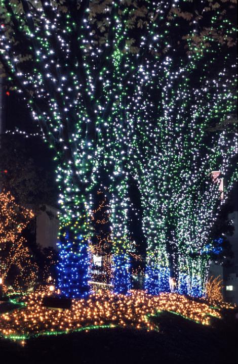 a display of christmas lights brighten a christmas evening in Tokyo