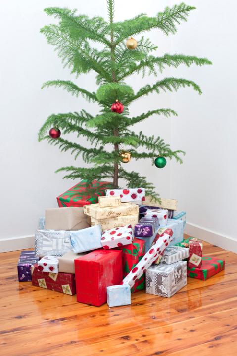 Modern Christmas celebration with a simply decorated natural pine tree and mass of colourful gifts and presents below