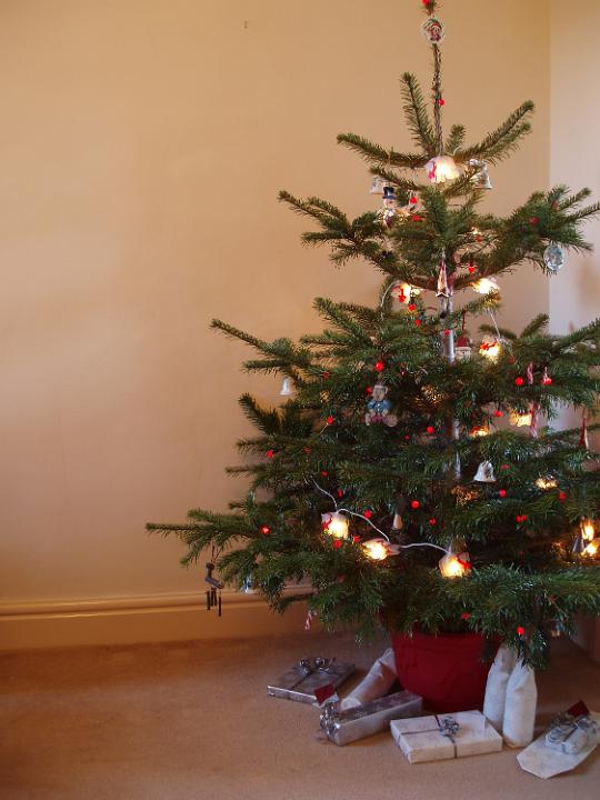 christmas tree with presents and lights. christmas tree presents. a traditional christmas tree with red berry lights, 