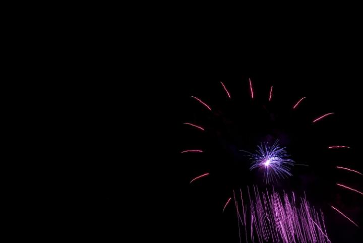 purple trails of light frozen in time as they explode from a firework rocket