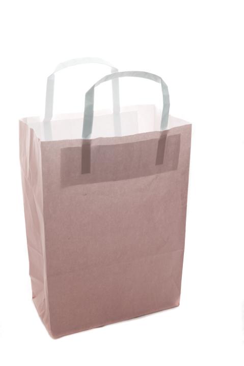 Plain brown paper carrier or shopping bag isolated on white with blank copy space for your branding or advertising