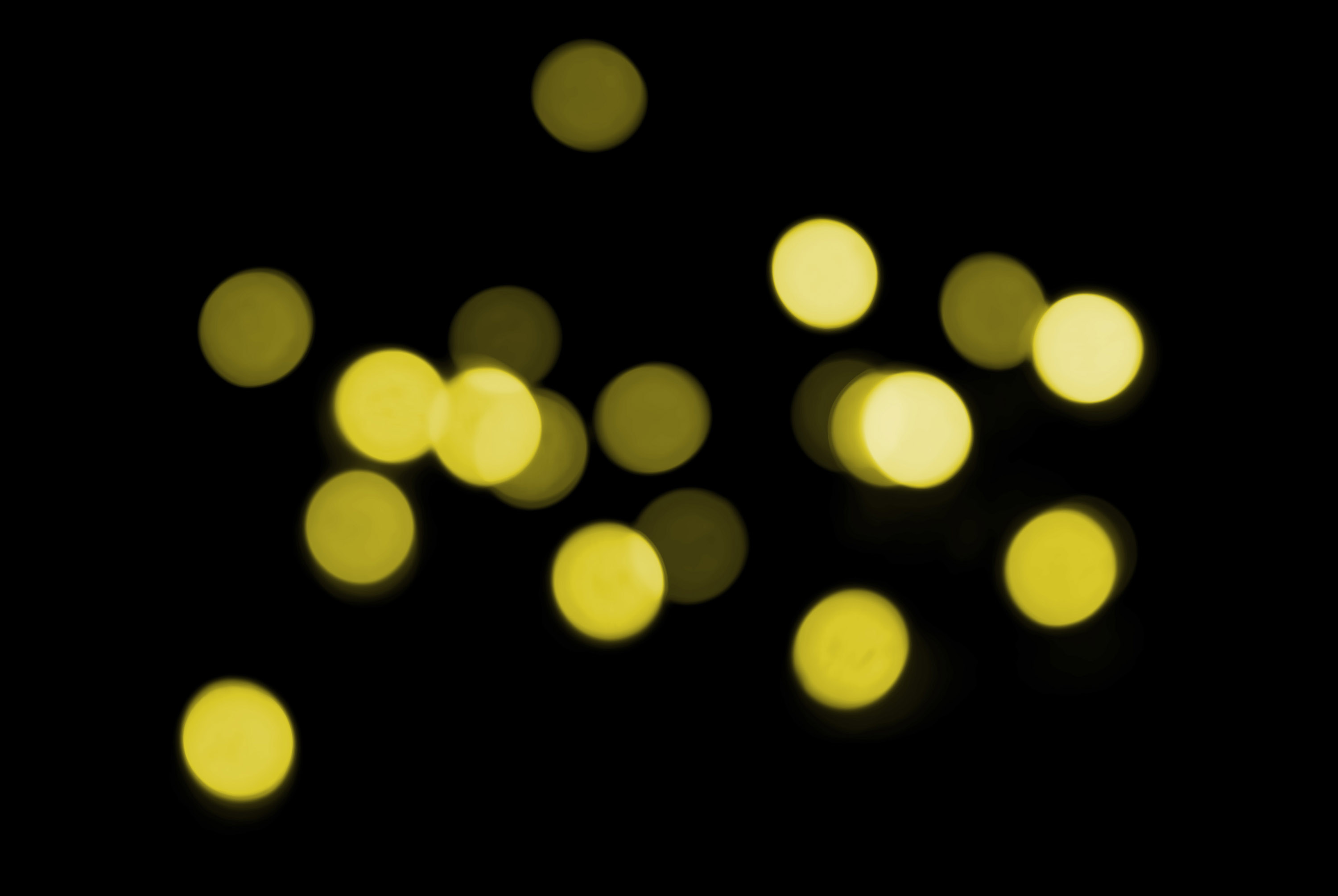 backdrop of yellow glowing bokeh (defocused lens effect) lights