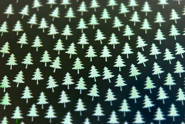a background image of green pine tree shapes on a black backdrop