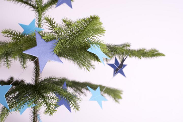 Close up Christmas tree branch with blue star shaped decorations.