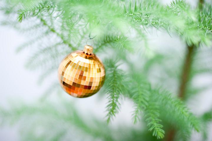 Close up of a single golden Christmas bauble hanging on an evergreen natural pine tree with shallow dof and copyspace for your seasonal greeting