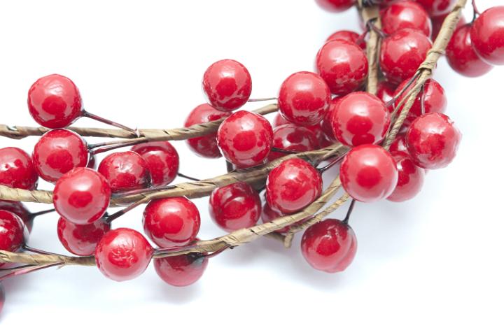 Crop close up decorative branch with red berries isolated on white background.