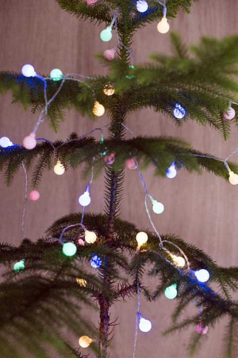 Close up shot of a christmas tree decorated with christmas lights