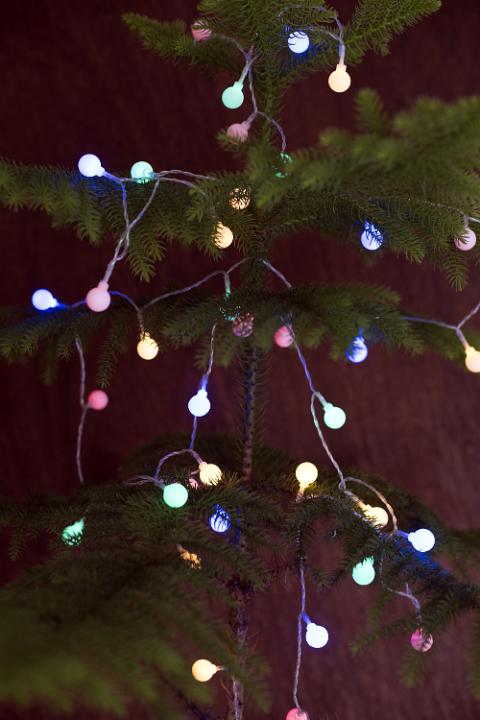 Glowing colorful round Christmas lights decorating a natural pin or spruce tree over a dark background for a simple holiday celebration
