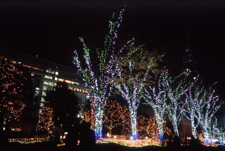 a display of christmas lights brighten a row of trees in a tokyo street